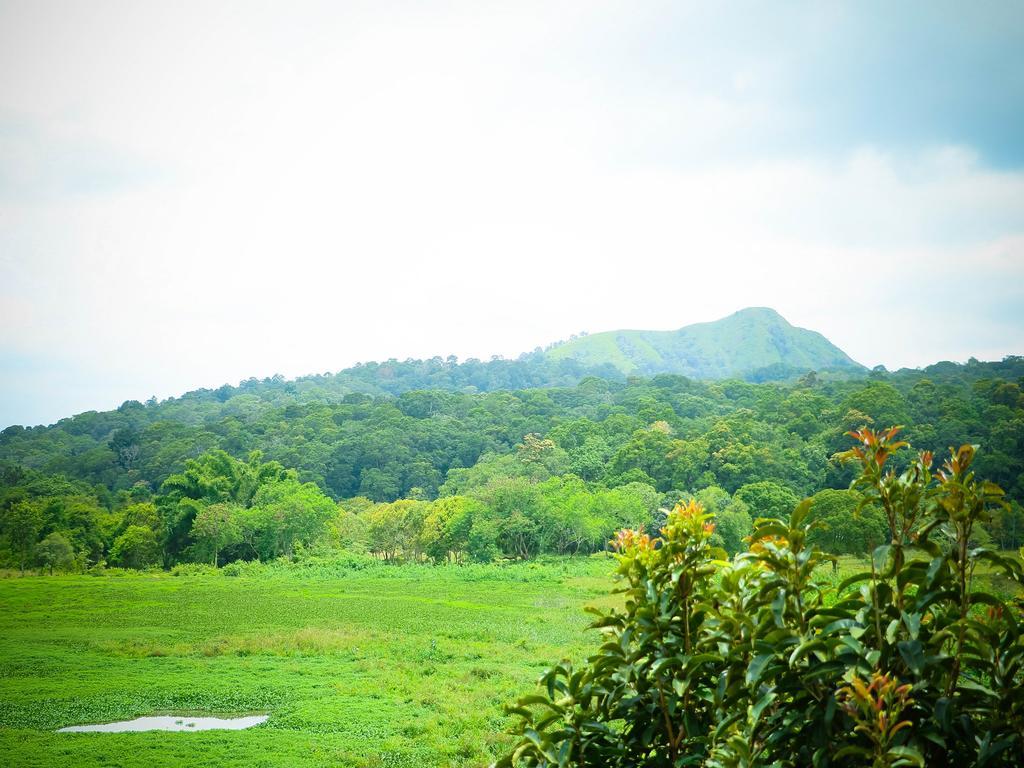 Kerala House Διαμέρισμα Thekkady Εξωτερικό φωτογραφία